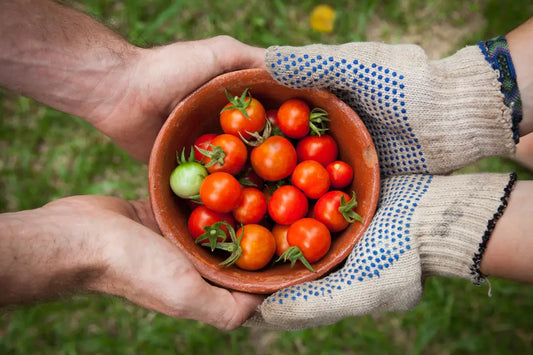 Building a Healthy Relationship with Food Strategies for Athletes